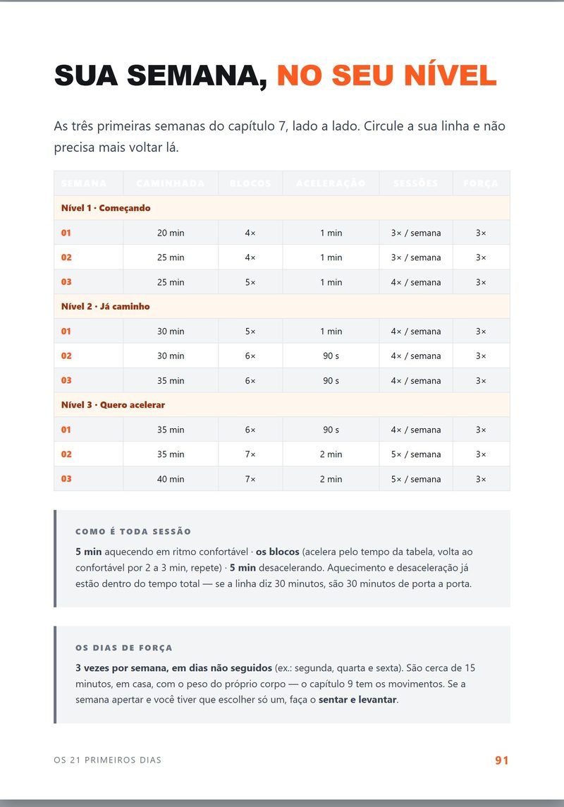 Página do protocolo — os 3 níveis, semana a semana